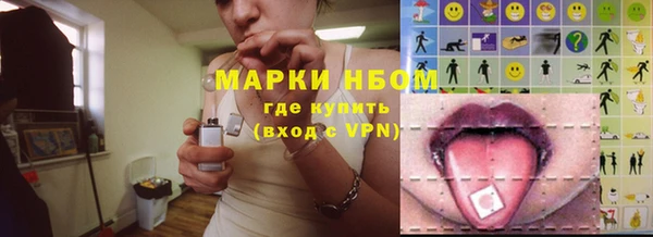 ПСИЛОЦИБИНОВЫЕ ГРИБЫ Инта