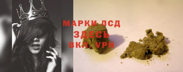 ПСИЛОЦИБИНОВЫЕ ГРИБЫ Инта