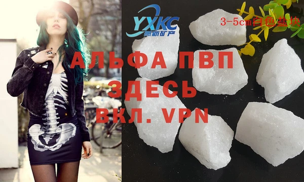ПСИЛОЦИБИНОВЫЕ ГРИБЫ Инта