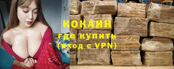 spice Инсар
