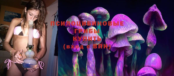 spice Инсар