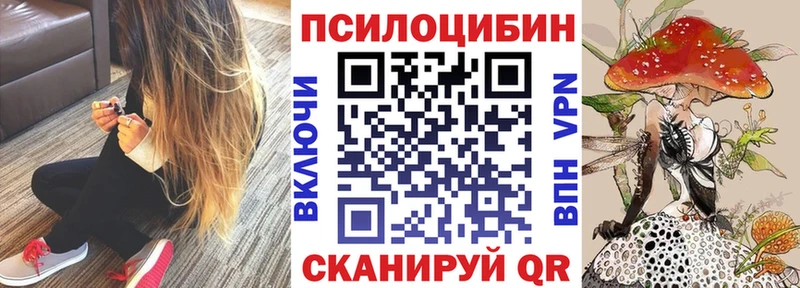 Галлюциногенные грибы GOLDEN TEACHER  Купить закладки  Добрянка 